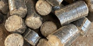 Sawdust Bio Coal Briquettes