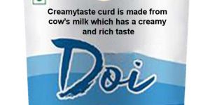 Fresh Curd