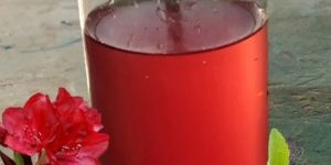 Rhodo Squash Drink Crush