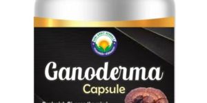 Ganoderma Capsule