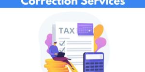 Tds Return Filling Services