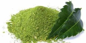 Neem Powder