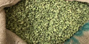 Green Cardamom 8mm