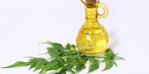 Organic Neem Oil