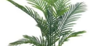 Big Areca Artificial Plant