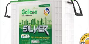 Galleon Silver Tall Tubular Battery