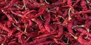 Byadgi Dry Red Chilli