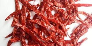 Wrinkle Dry Red Chilli