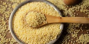 Foxtail Millet Seeds