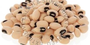 Cowpea Seeds