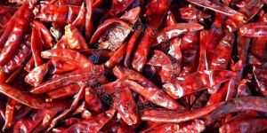 Dry Red Chilli