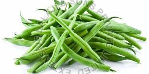 Fresh Beans