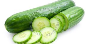 Fresh Cucumber