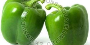 Fresh Green Capsicum