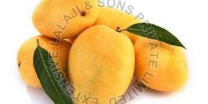 Fresh Mango