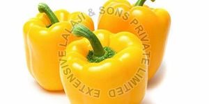 Fresh Yellow Capsicum