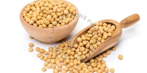 Soya Beans