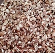 Supari Betel Nut