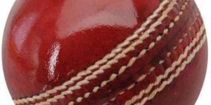 Red Cricket Leather Balls
