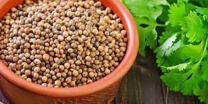 Coriander Seeds