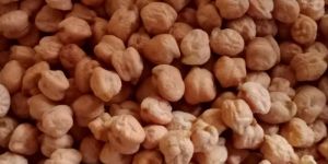 Kabuli Chick Peas