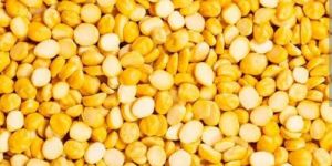 Chana Dal