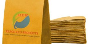 Golden Kraft Paper Pouch