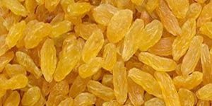Yellow Raisins