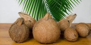 a Grade Coconut