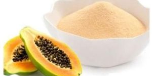 Dried Papaya Powder