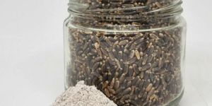 Organic Black Wheat Flour