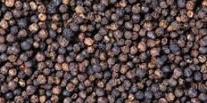 Black Pepper Seeds