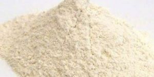 White Onion Powder