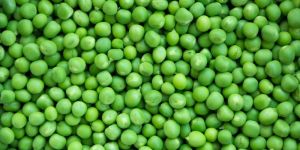 Green Peas