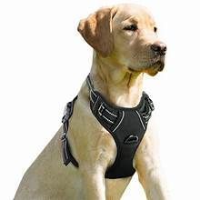 Pet Harnesses