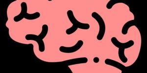 Neurology Treatment Service