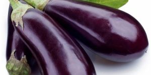 Fresh Brinjal