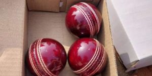 Cricket Ball