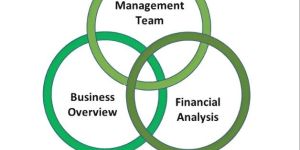 Competitive Analysis Services