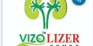 Vizoston Sugar Free Stone Syrup