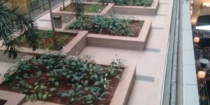 Open Well Submersible Pump