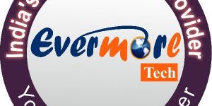 Seo Services in Noida