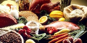 Vitamin Diet Counseling Services