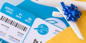 Domestic Air Ticketing