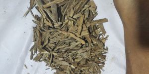 Oudh Hindi