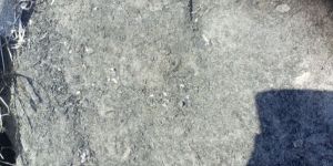 Rice Husk Ash Powder