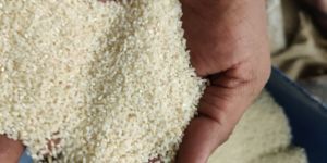 Broken Rice
