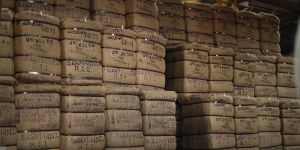 PP Woven Sack Fabric