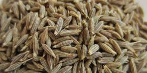 Cumin Seeds