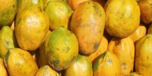 Papaya Fruit